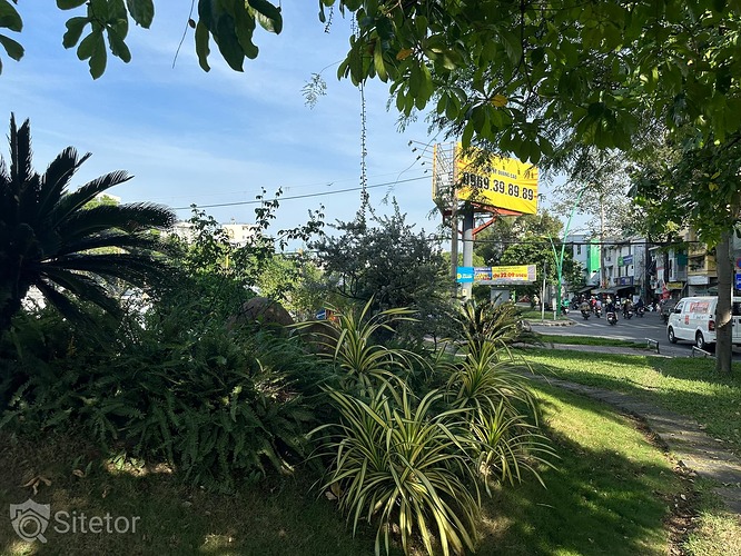 Photo_1703174324808