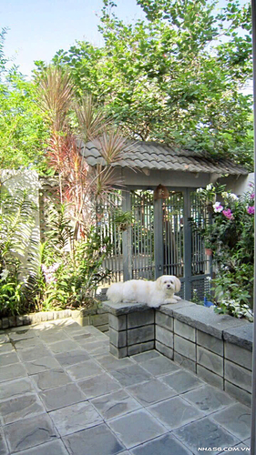 Bán nhà trong khu compound Quận 2 8