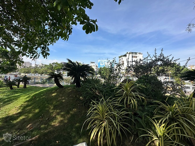 Photo_1703174328690